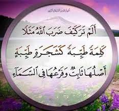 سلطة الكلمة ربورتاج