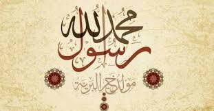 مولد خير البرية ربورتاج