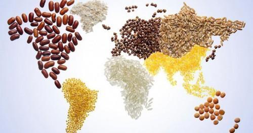 agriculture