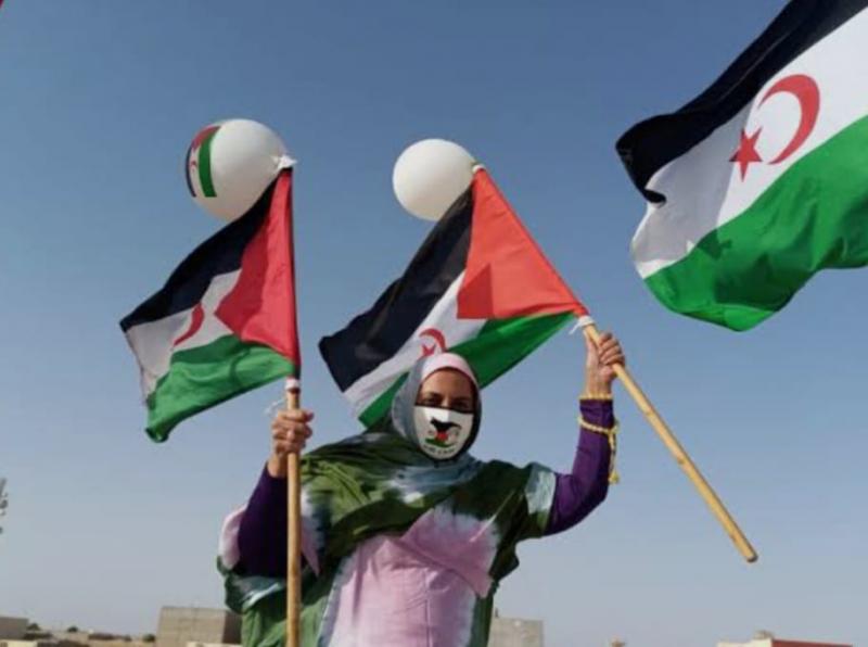 الثقافة في خدمة الاستقلال.. مهرجان لون الأرز يُحيي النضال الصحراوي بالفن