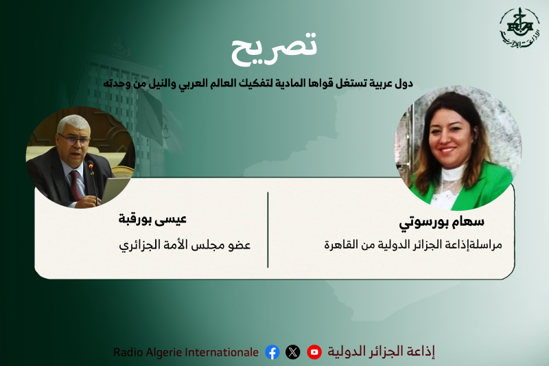 دول عربية تستغل قواها المادية لتفكيك العالم العربي والنيل من وحدته