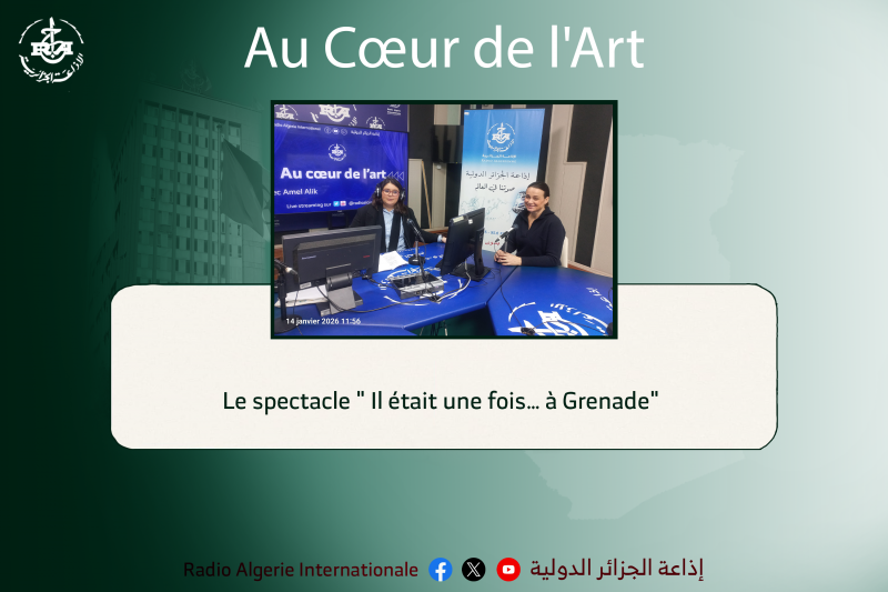 Au coeur de l'art: Le spectacle " Il était une fois… à Grenade" 