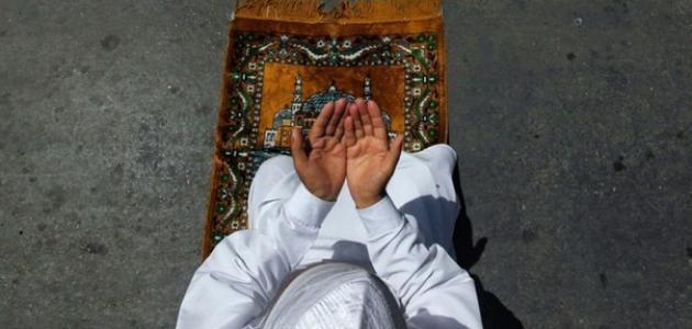 ضيف النسمات