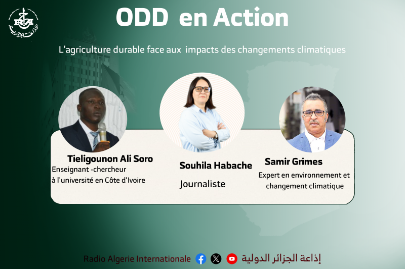 ODD EN ACTION :l’agriculture durable face aux  impacts des changements climatiques