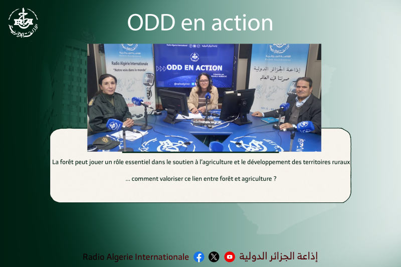 ODD EN ACTION :La forêt peut jouer un rôle essentiel dans le soutien à l’agriculture et le développement des territoires ruraux... comment valoriser ce lien entre forêt et agriculture ?