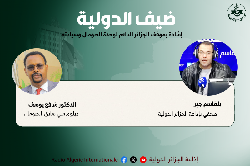 دبلوماسي سابق-الصومال