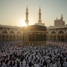 ربورتاج