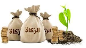 تقرير