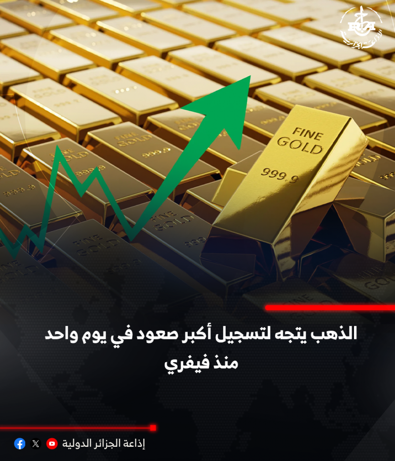 تقرير 